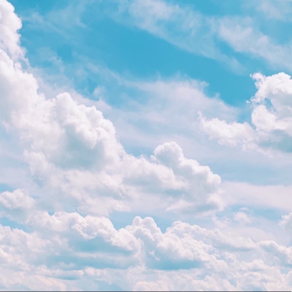 Meet your Posher, Emma - Picture 1 of 1